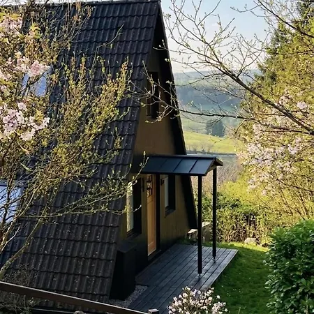Designer With Gorgeous Eifel Panorama *