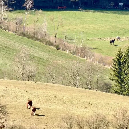 Designer With Gorgeous Eifel Panorama *